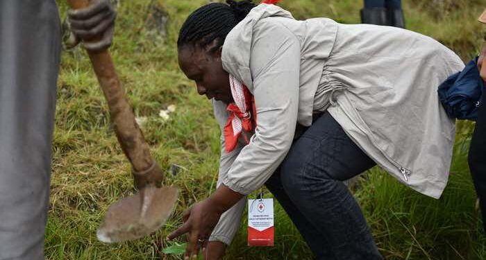 WHO recommends ‘mpox’ as new name for monkeypox