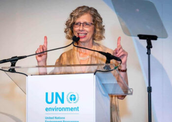 COP27: UNEP Boss urges appropriate funding for Africa to turn climate adaptation plans into action