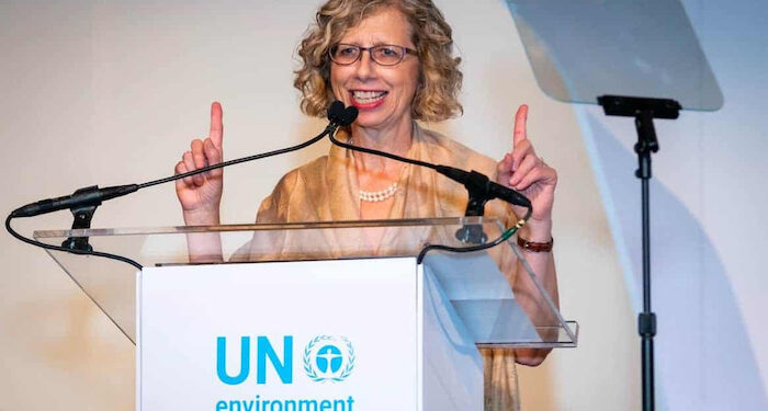 COP27: UNEP Boss urges appropriate funding for Africa to turn climate adaptation plans into action