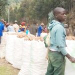 KOABURA Cooperative: Strengthening farmers capacity towards better farming methods