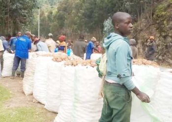 KOABURA Cooperative: Strengthening farmers capacity towards better farming methods