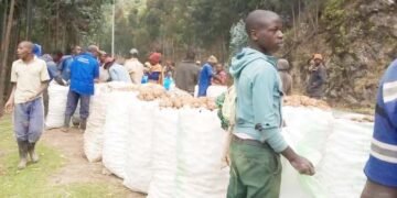 KOABURA Cooperative: Strengthening farmers capacity towards better farming methods