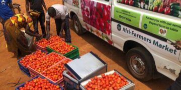 Afri-farmers, a social enterprise link farmers to stable markets