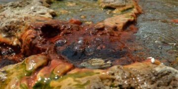 Geothermal schemes boost powers Rwanda’s carbon reduction drive
