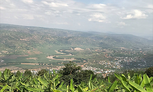 Water-saving irrigation boosts land productivity in Rwanda