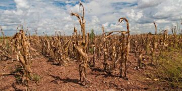 Civil Society Organisations urge global leaders to make significant reforms towards famine