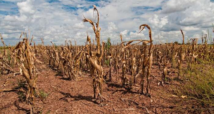 Civil Society Organisations urge global leaders to make significant reforms towards famine