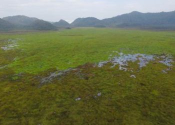 Rwanda bringing elephants back to the wild of its oldest natural reserve