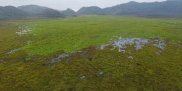 Rwanda bringing elephants back to the wild of its oldest natural reserve