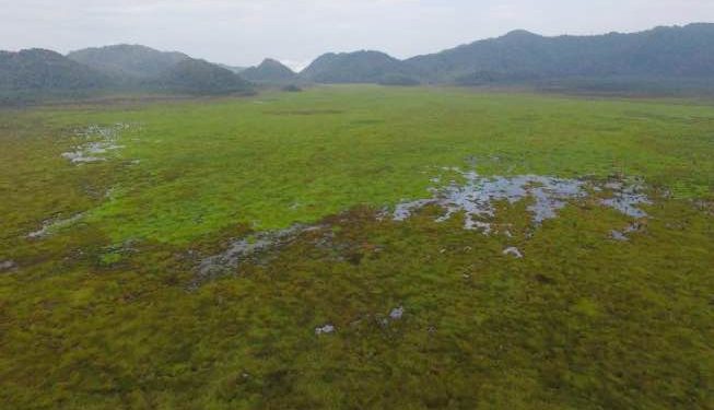 Rwanda bringing elephants back to the wild of its oldest natural reserve