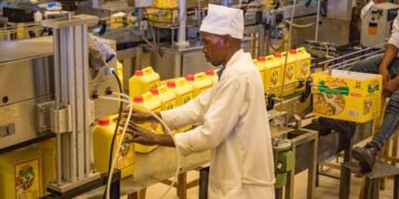 Rwandan Gov’t to fortify soya beans Production