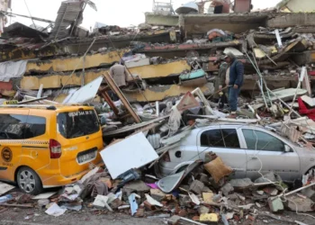 Turkey death toll increase eight folds, says WHO