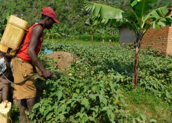 Mass media campaigns can be effective in promoting safer crop pest and disease control -study