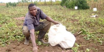 World Environment Day 2023 celebrated in Rwanda amid hope for climate justice