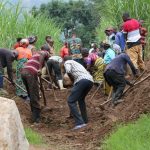 Farmers Day: RDO organize build-up activities for final event Umuganda_musanze