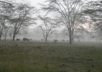 African leaders, key stakeholders committed to transforming climate issues into action