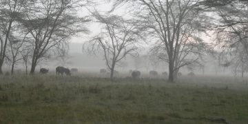 African leaders, key stakeholders committed to transforming climate issues into action