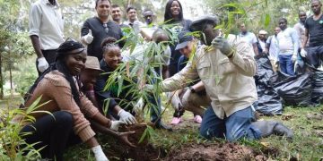 Kenyan government declare tree planting holiday