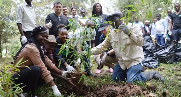 Kenyan government declare tree planting holiday