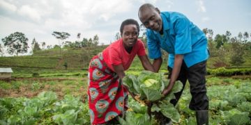COP28: Farmers root for climate-resilient food systems to beat hunger in Africa