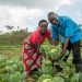 COP28: Farmers root for climate-resilient food systems to beat hunger in Africa