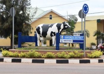 Kayonza City to get a makeover: Crops out, flowers in