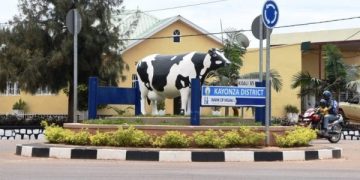 Kayonza City to get a makeover: Crops out, flowers in