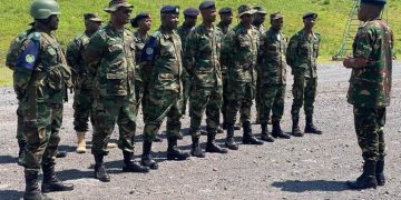 South Africa pledges 2,900 troops for DRC deployment