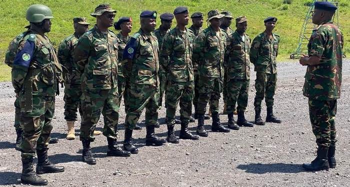 South Africa pledges 2,900 troops for DRC deployment