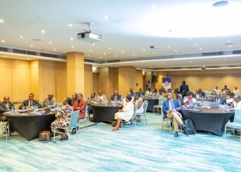 Think Tanks Advocate for Recognition of Domestic Unpaid Work