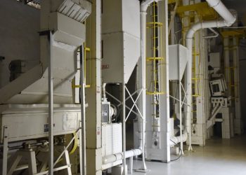 Nyagatare Rice Company: A story of shared growth in Rwandan fields