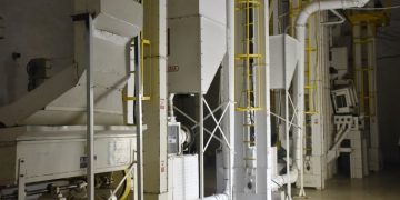 Nyagatare Rice Company: A story of shared growth in Rwandan fields