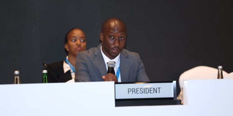 Rwanda urges stronger action in delivering renewable energy goals