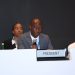 Rwanda urges stronger action in delivering renewable energy goals
