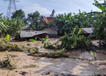 Heavy Rains in Rwanda Cause Deaths and Damage