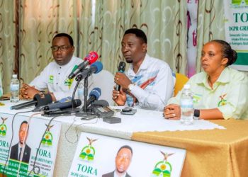 Green Party Optimistic Despite Challenges