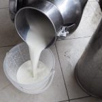 Milk