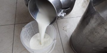 Dairy Farmers See Significant Price Increase for Milk