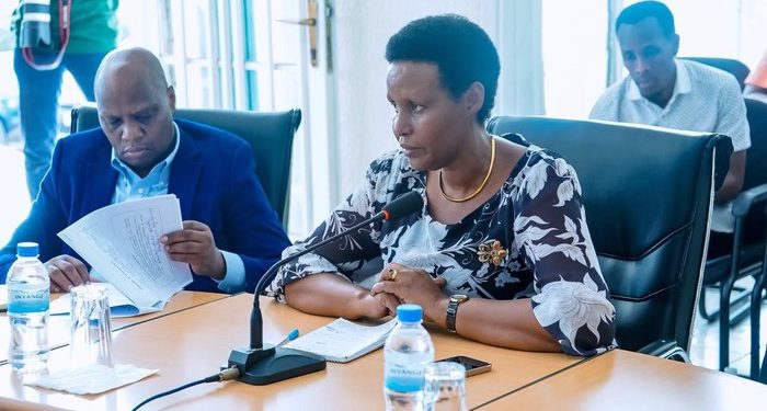 Electoral body explains why PDI and DGPR may appear in Parliament