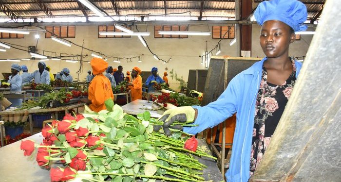 Bella Flowers Plans a Strategic Market Growth Expansion