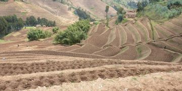 Rwanda Arable land size to increase by 85% in the next five years