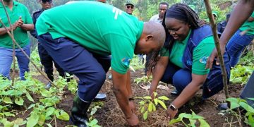 Rwanda Launches Program to Plant Over 6.4 Million Fruit Trees