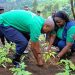 Rwanda Launches Program to Plant Over 6.4 Million Fruit Trees