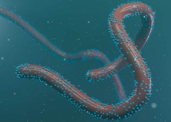 Rwanda Suspends School Visits Amid Marburg Outbreak