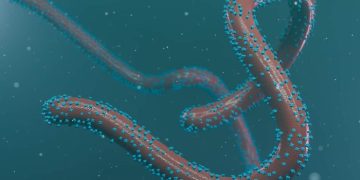 Rwanda Suspends School Visits Amid Marburg Outbreak