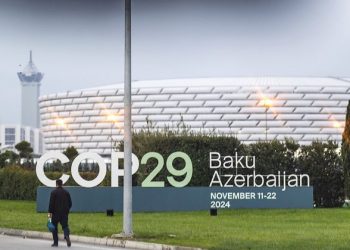 Developing Nations Decry COP29 Climate Finance Text for Lack of Specificity