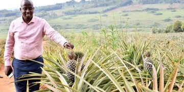 Revitalizing Ngoma with the Power of Development Initiatives