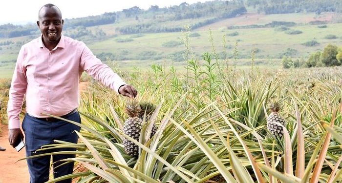 Revitalizing Ngoma with the Power of Development Initiatives