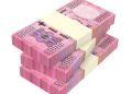 Rwandan Franc Remains Relatively Stable Against US Dollar 