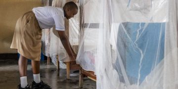 Malaria: Racing to fight against a stubborn foe 